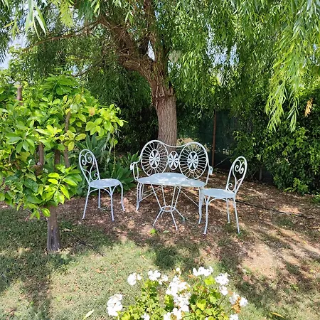 Els Tarongers Perfect For Families Or Friends Casa vacanze